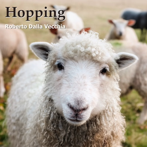 Hopping - Roberto Dalla Vecchia - Single Art Cover