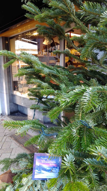 Peaceful Christmas Guitar (Physical CD)